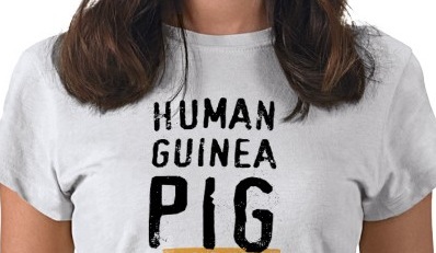 ginea-pig